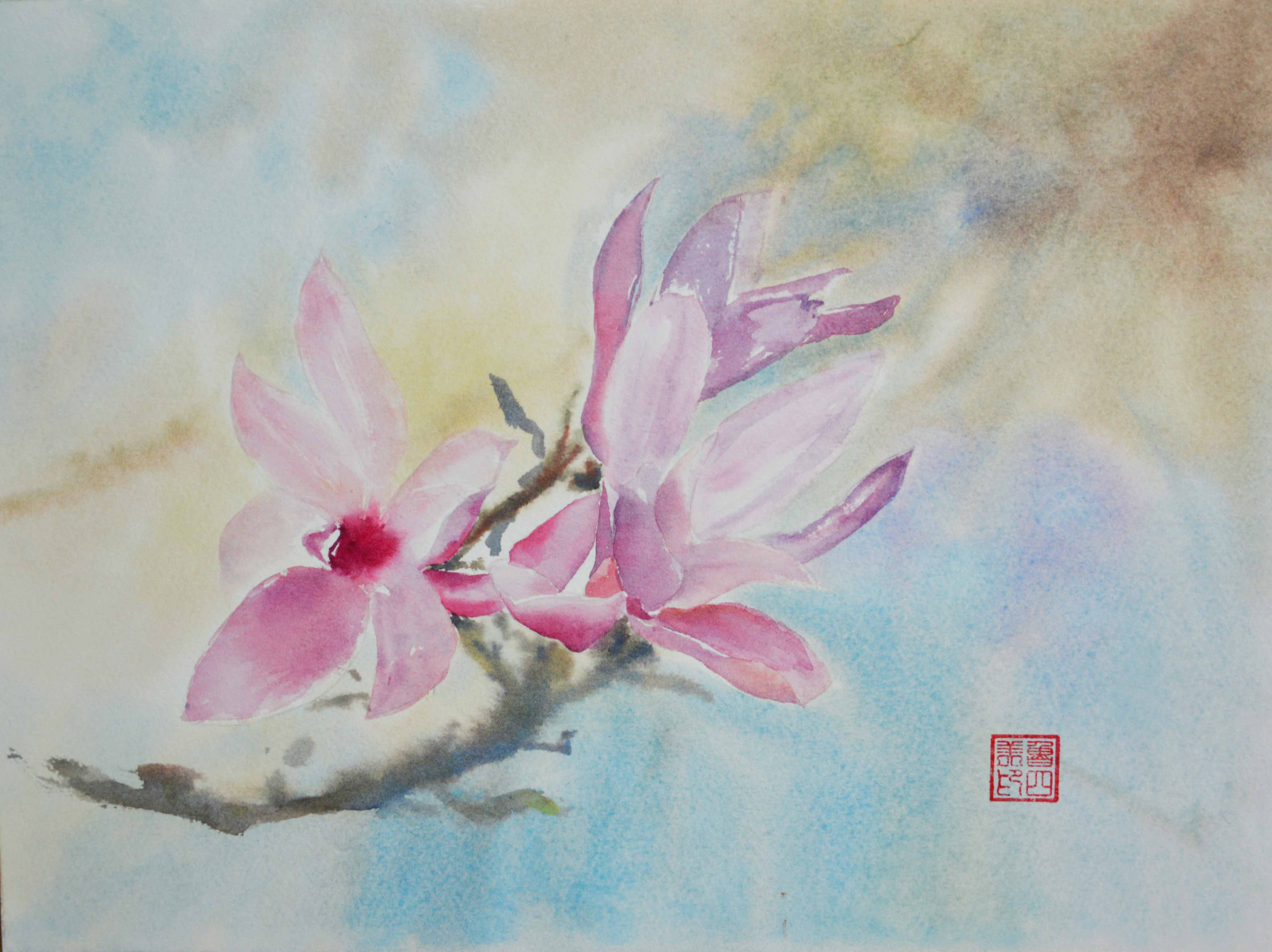 Pink Magnolias in Bloom